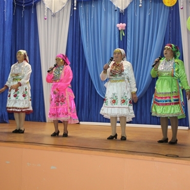 Работники сельского клуба Калтасинского района получили музыкальную аппаратуру
